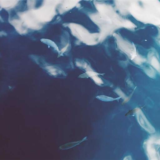 Peran Desain dalam Membentuk Pengalaman Manusia